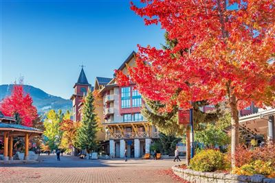 Whistler im Herbst